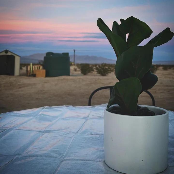 Serene Modern Home Backdoor With Great Wifi, Games, Movies, Patio Seating And Bbq Easy Access To North Joshua Tree National Park In 10 Minutes تونتي ناين بالمز المظهر الخارجي الصورة